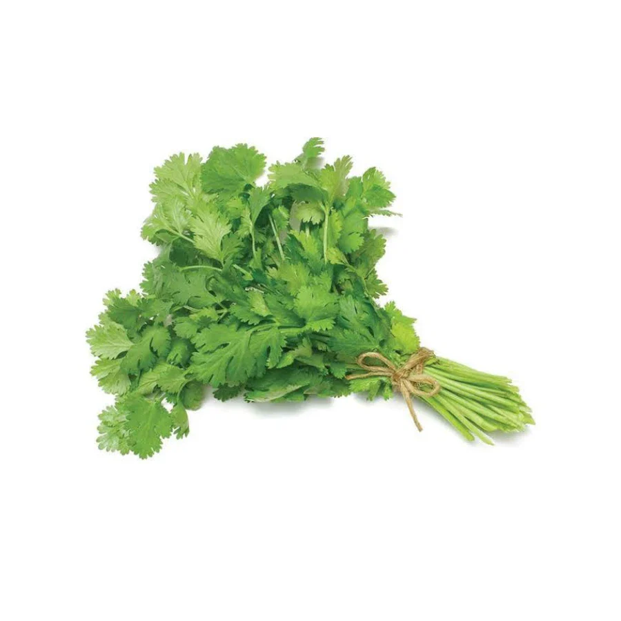 Green coriander drops to Rs 121 per kg
